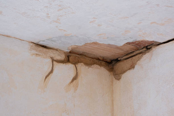 Best Water damage restoration near me  in Blytheville, AR